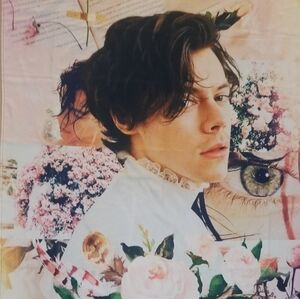 Harry Styles Portrait Tapestry